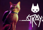 بازی Stray + تاریخ انتشار